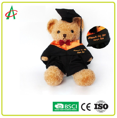 ASTM Doldurulmuş Ayıcık Mezuniyet